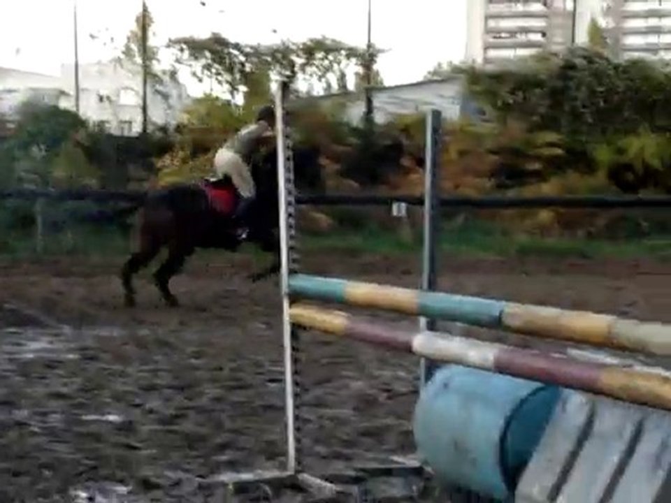 Charlyne et Punch