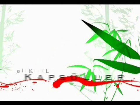 Nurs Lokman Hekim - Bitkisel Tabletler