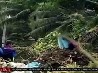 Indonesia: 444 muertos, falta de medicinas y problemas en rescate de víctimas