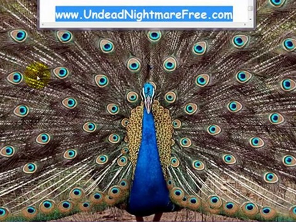 Undead Nightmare Giveaways DLC Redeem Codes Xbox360 and PS3