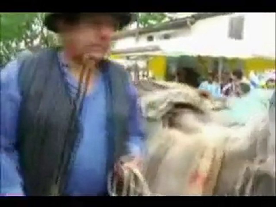 Grosse erreur de montage dans le journal TF1