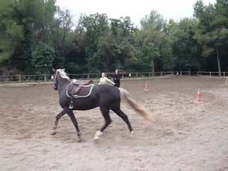 Silver Sam et moi apprentissage