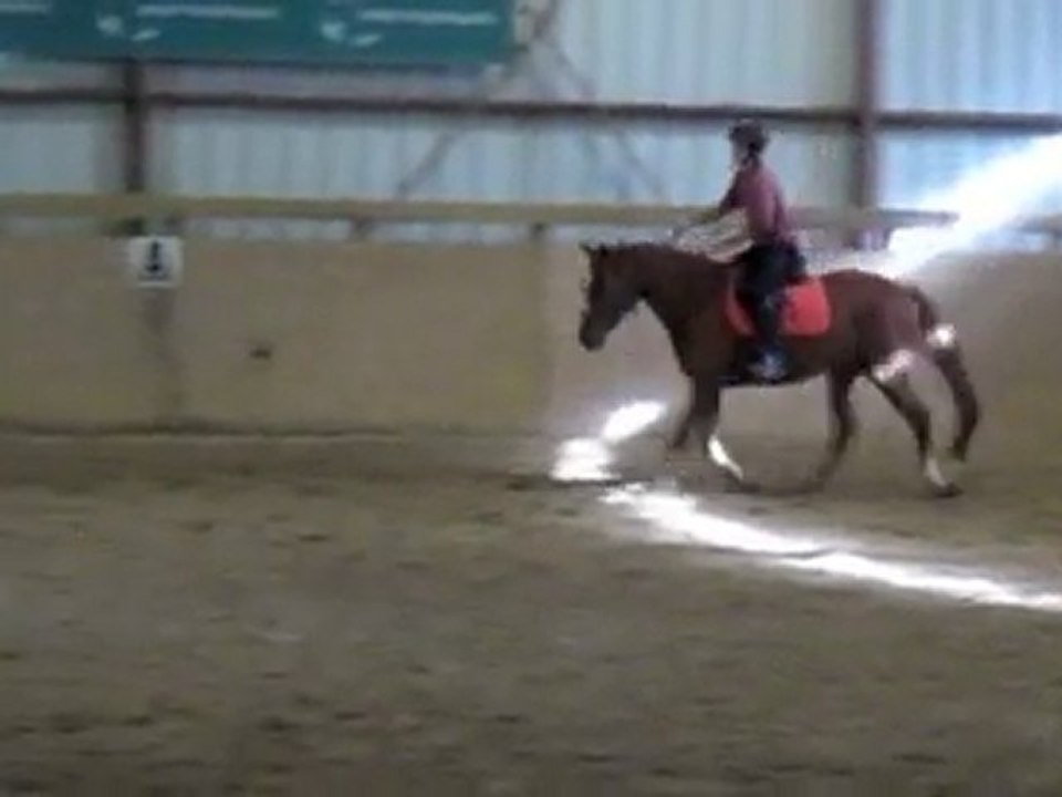 Débourrage Rodéo 4e jour