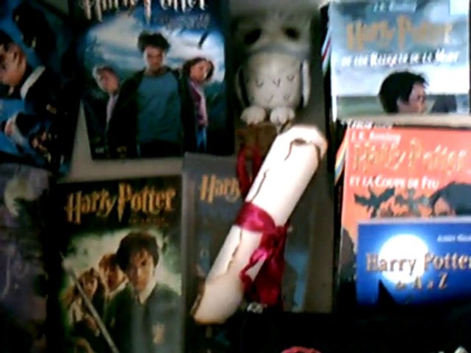 Pour que L'avant première d'Harry Potter 7 soit Rennes !