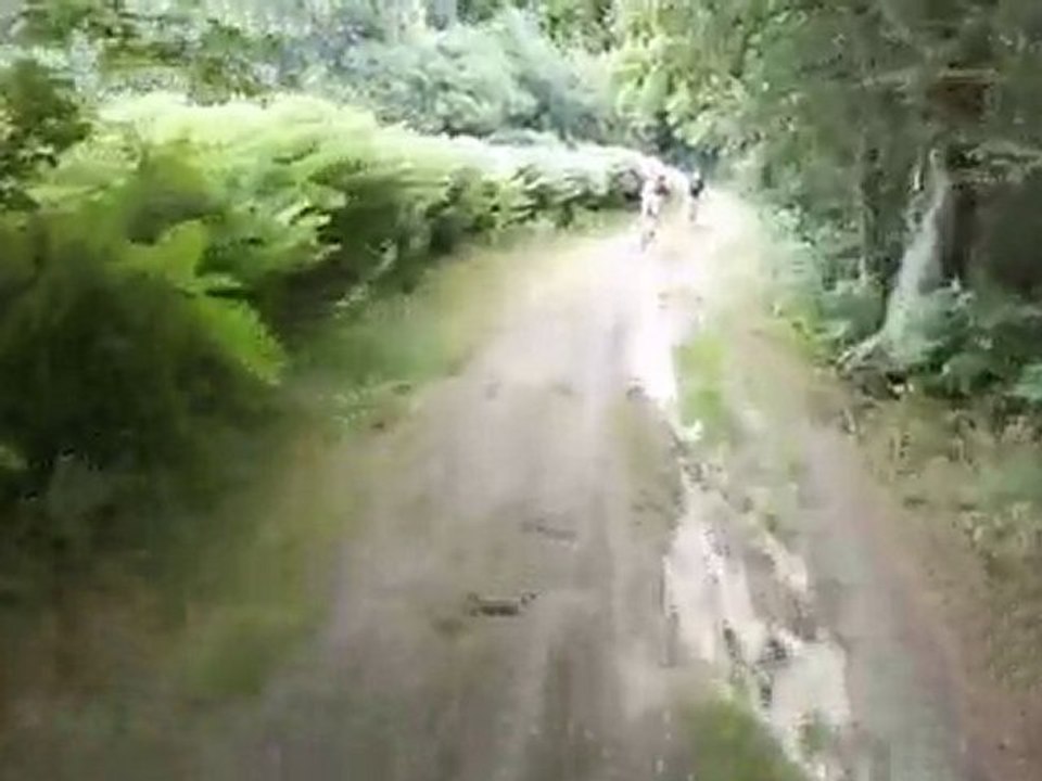 VTT COMPILATION 2010
