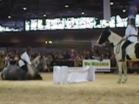 Cynthia et Tao & Laetitia et Bianca , à Equita'Lyon 2010 .