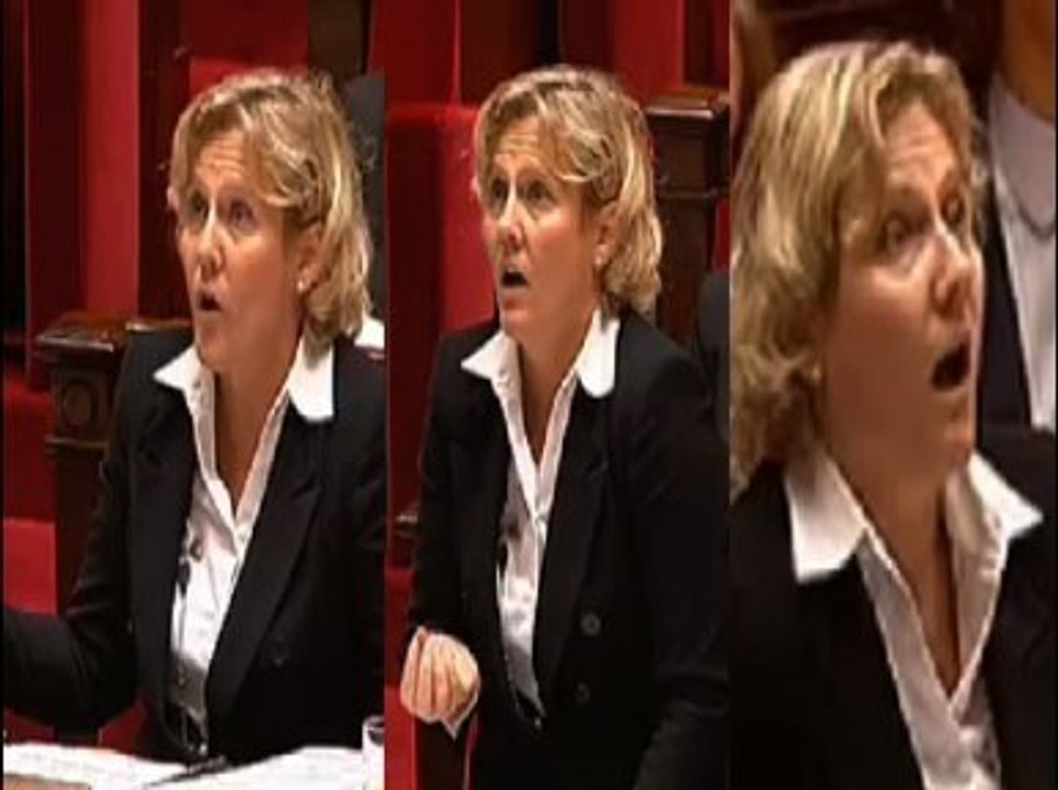Colère de Nadine Morano à l'Assemblée
