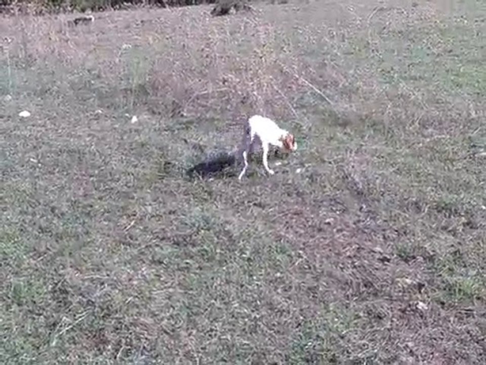 ŞİMA FERMA VE APORT