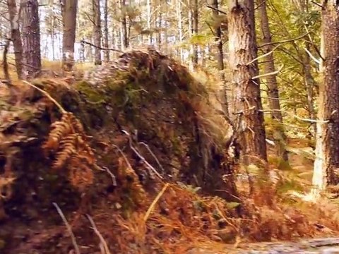 Riders Match Été 2010 : damienvergez - Pays Basque Crew