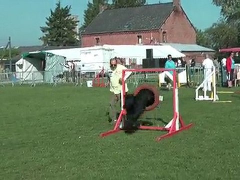 Lucien et son Briard en concours d'agility