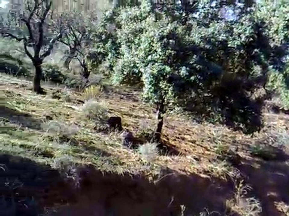 Naturaleza - www.cosmeticanatural.com