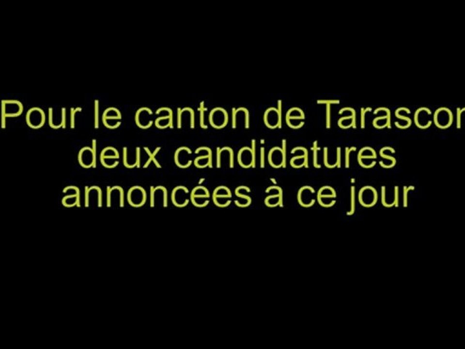 Cantonales 2011 - Tarascon -