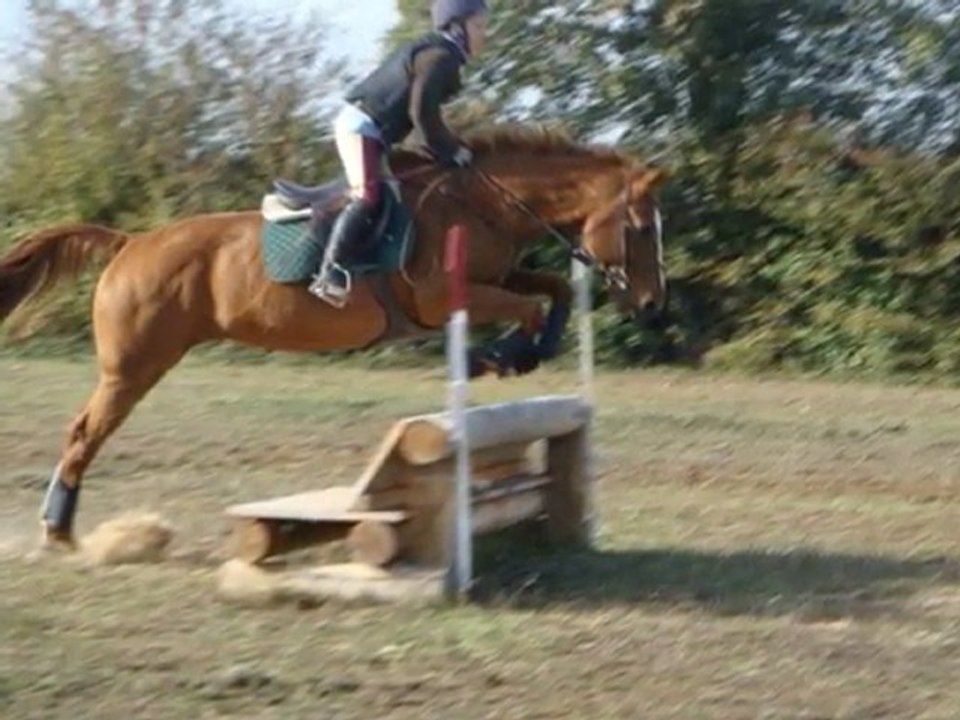 Stage CCE - (27-10-10) - Les Cavaliers du Plaisir