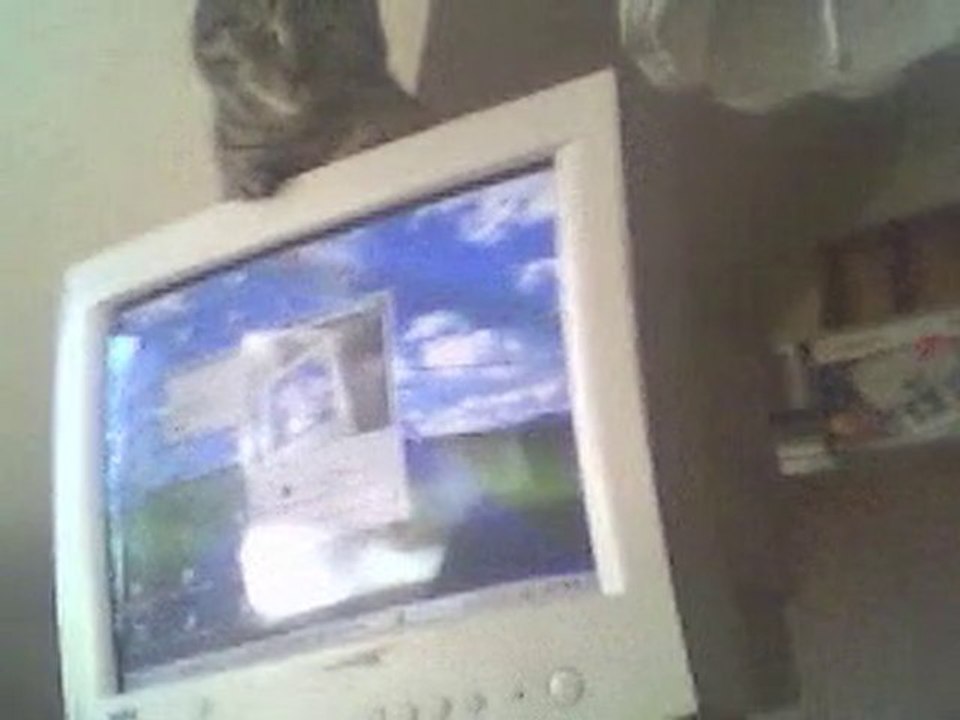 Kopie (1) von Video 1