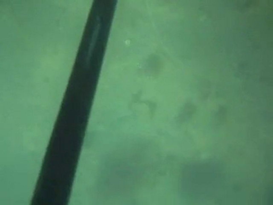 2010-penvins-3eme carrelet