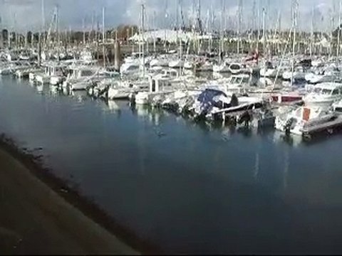 2010-Mille-sabords-cormoran