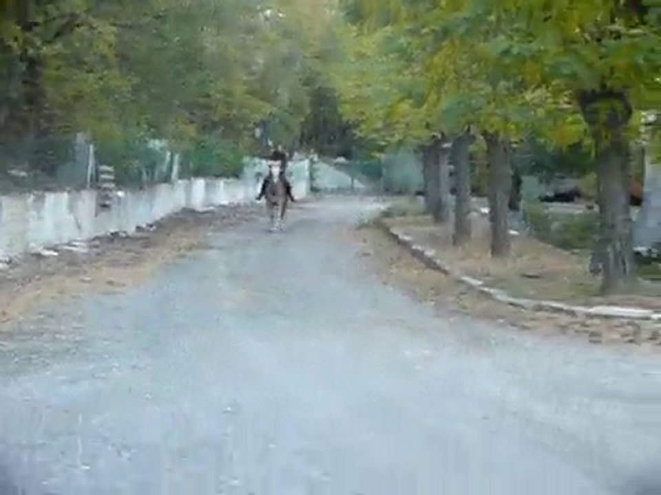 junior et Florence. Galop