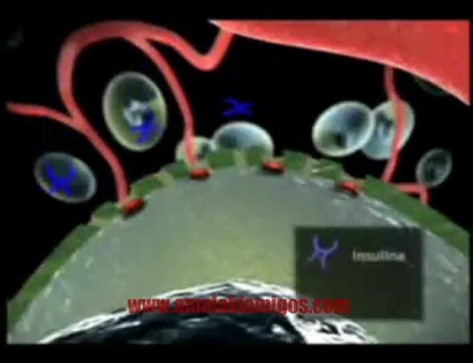 Problemas con Diabetes / Si quieres saber mas de la diabetes