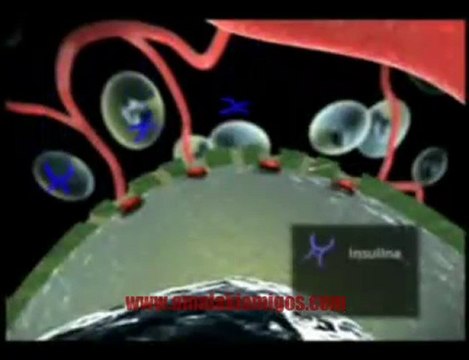 Problemas con Diabetes / Si quieres saber mas de la diabetes