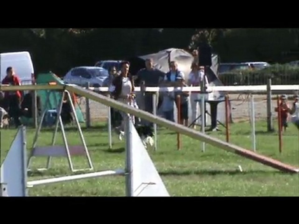 Concours agility St Michel 2010