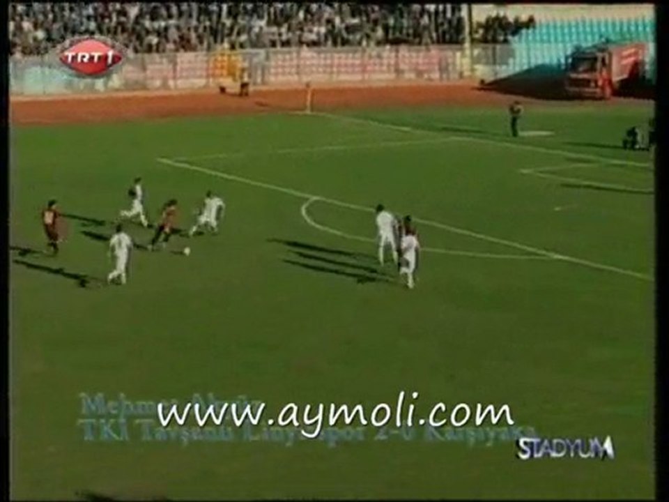 www.aymoli.com tav.lin 2-0 kar