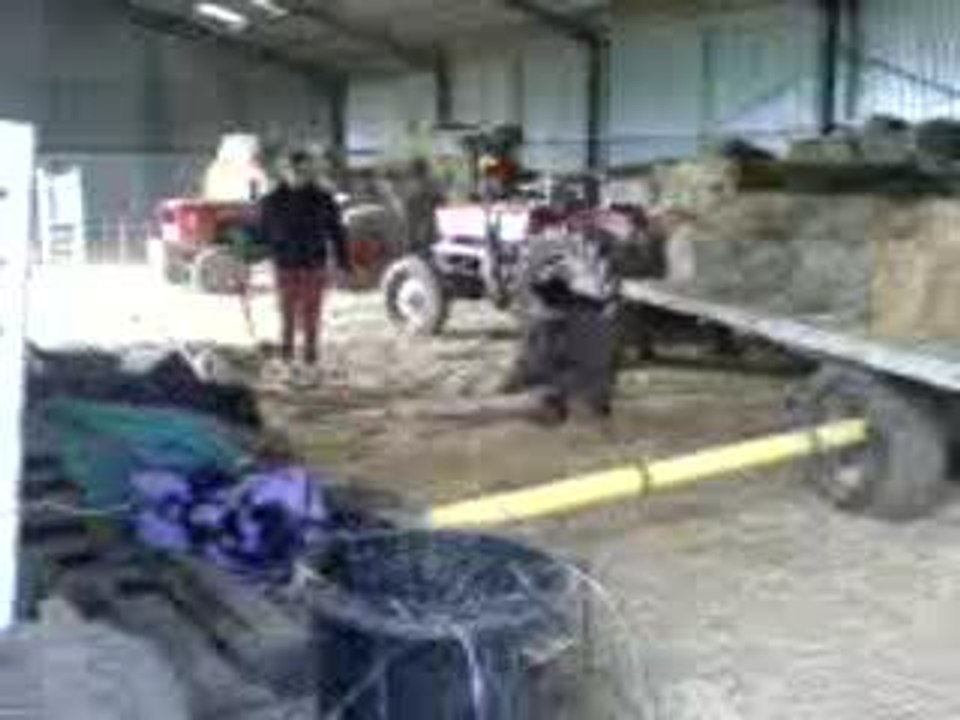 MOV00021