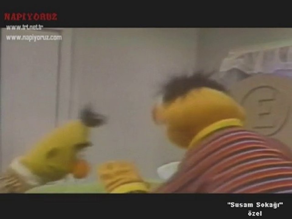 SUSAM SOKAGI ÖZEL (Sesame Street private)
