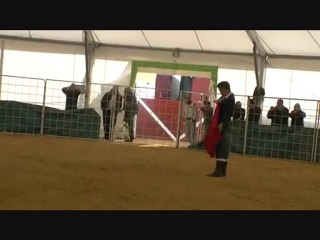 23.10.10 Hagetmau  Vache 3 avec Yanis et Louis Husson