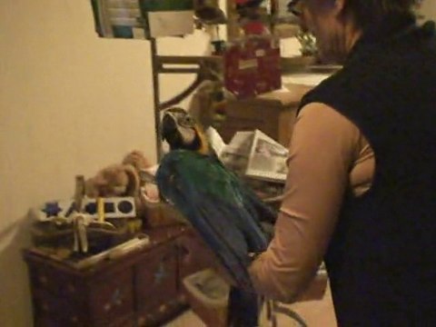 Aladin apprend le rappel le 30 octobre 2010