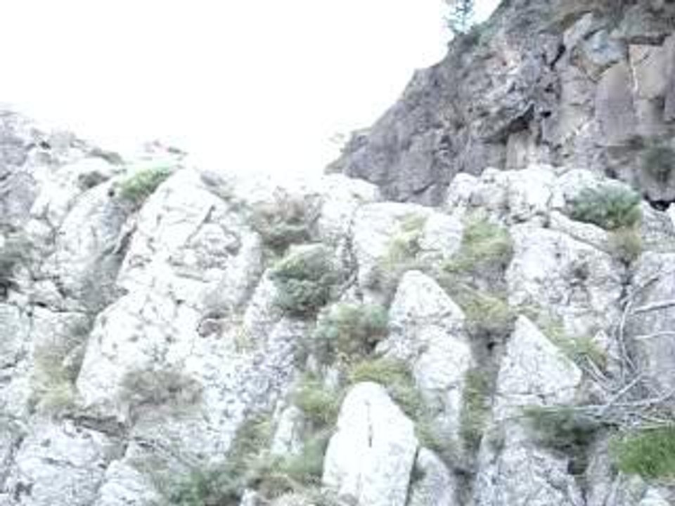 La Pissarelle freyssenet  besorgues 055