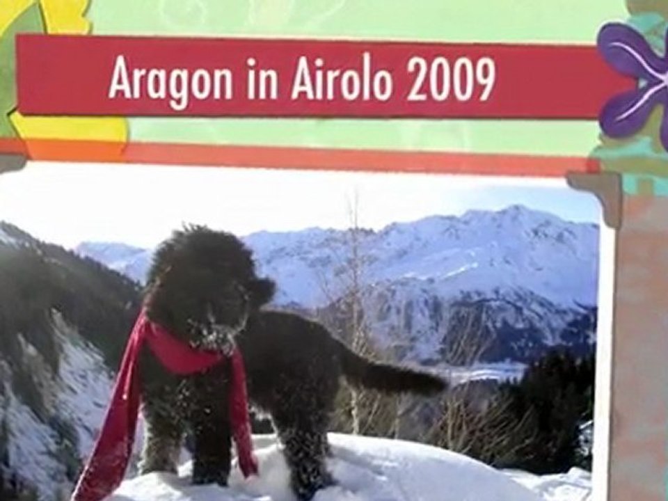 Aragon im Tessin
