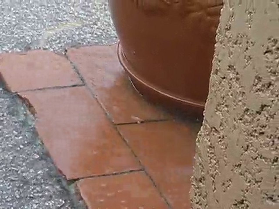Pluie d'Halloween3