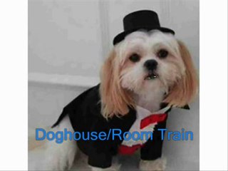 Talking Dog - 5 Tips on How to Home Train Your Dog