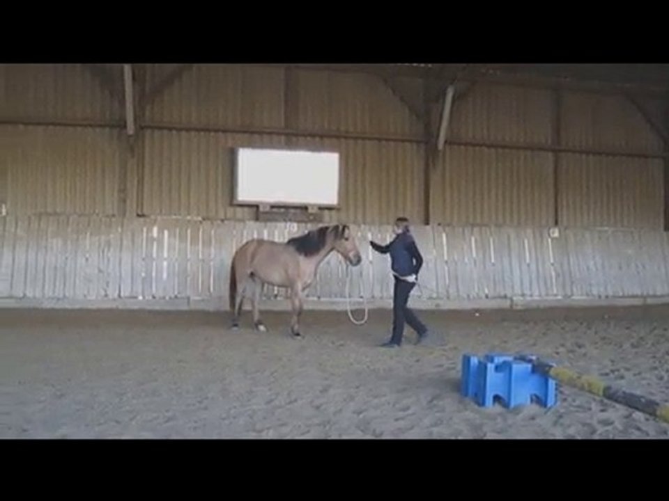 Seance Ethologie 30 octobre 2010