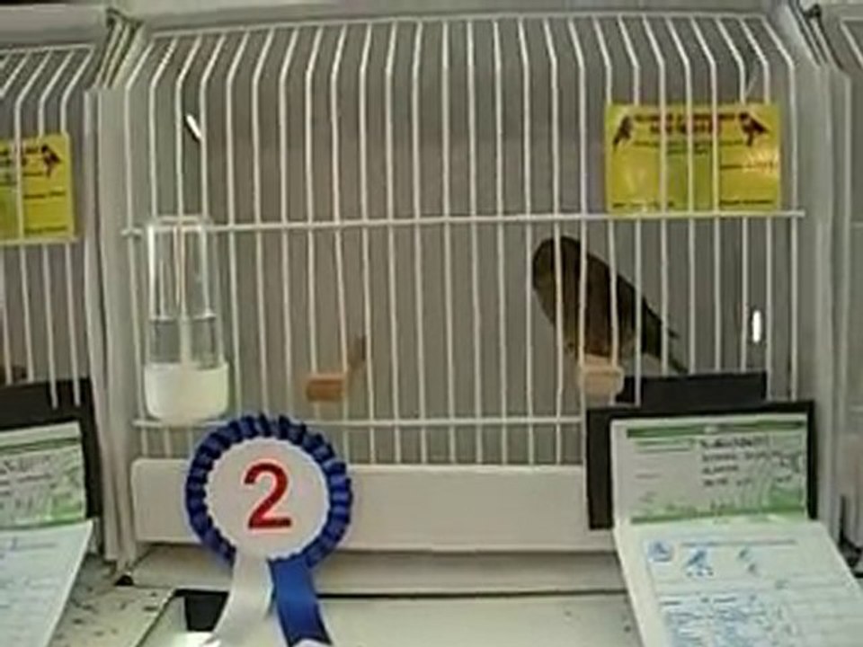 31.10.2010 Ahraç Kabak Gloster