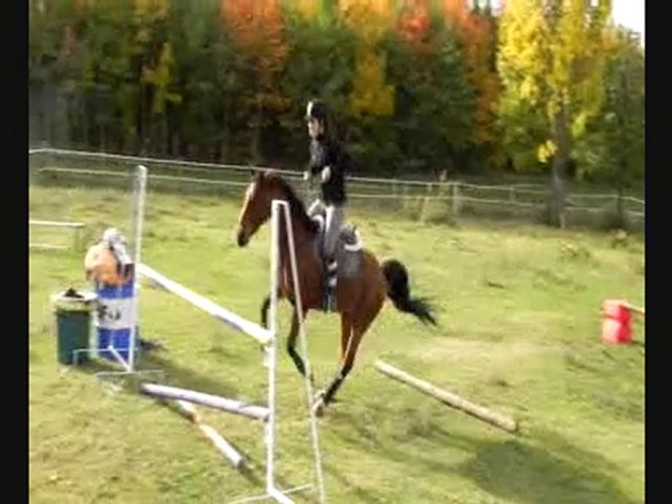 Jam puissance - licol & cordelette