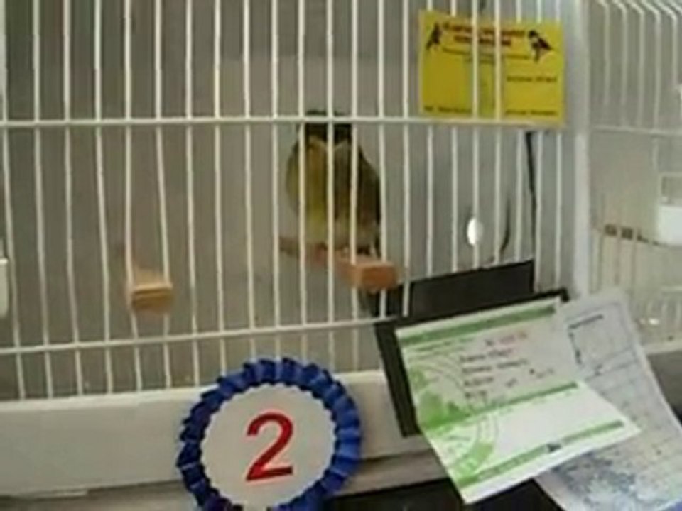 31.10.2010 Ahraç Tepeli Gloster