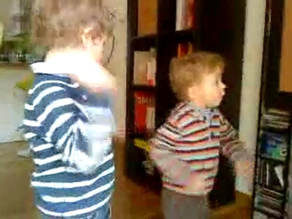 les pingoins