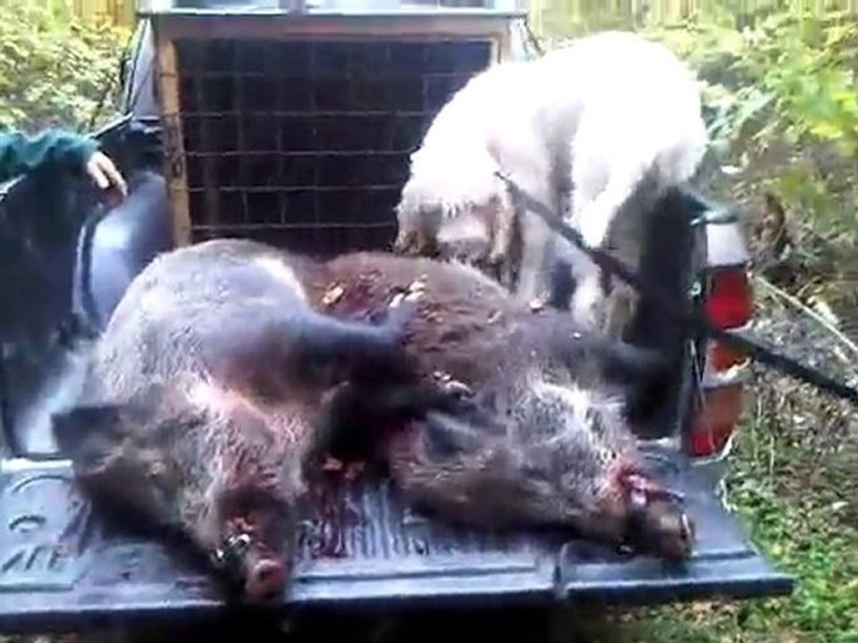 VID 00021-20101030-1343.3GP