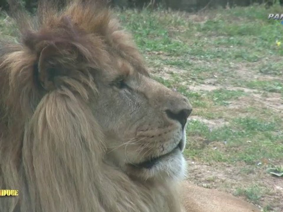 ZOO DE DOUE-LA-FONTAINE