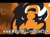 watch New England Patriots vs Minnesota Vikings live stream