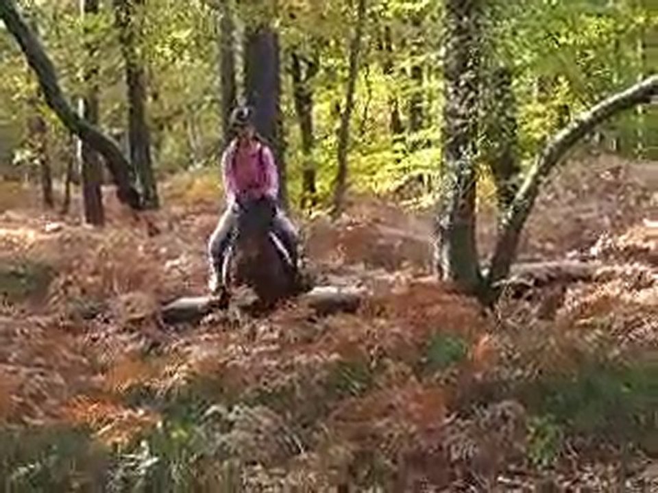 Naïka & Fanny, Petit saut dans la forêt ..