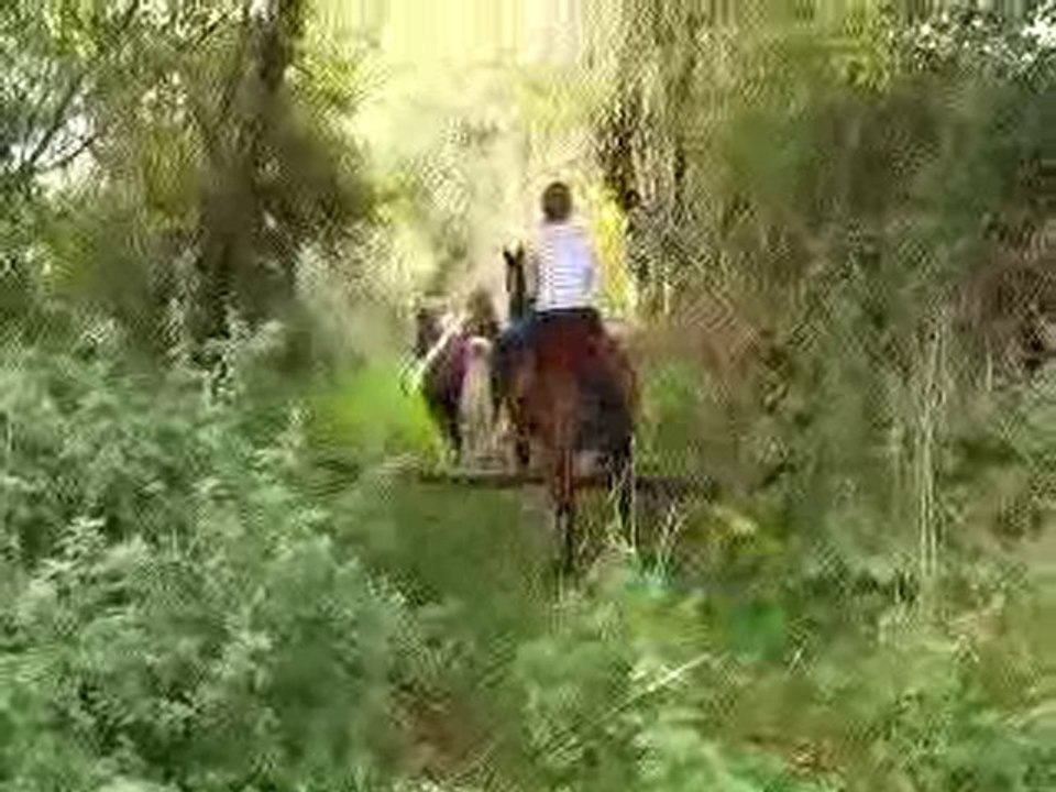 Naïka & Fanny, Petit saut dans la forêt à cru!