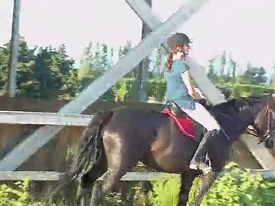 Essai selle Tekna