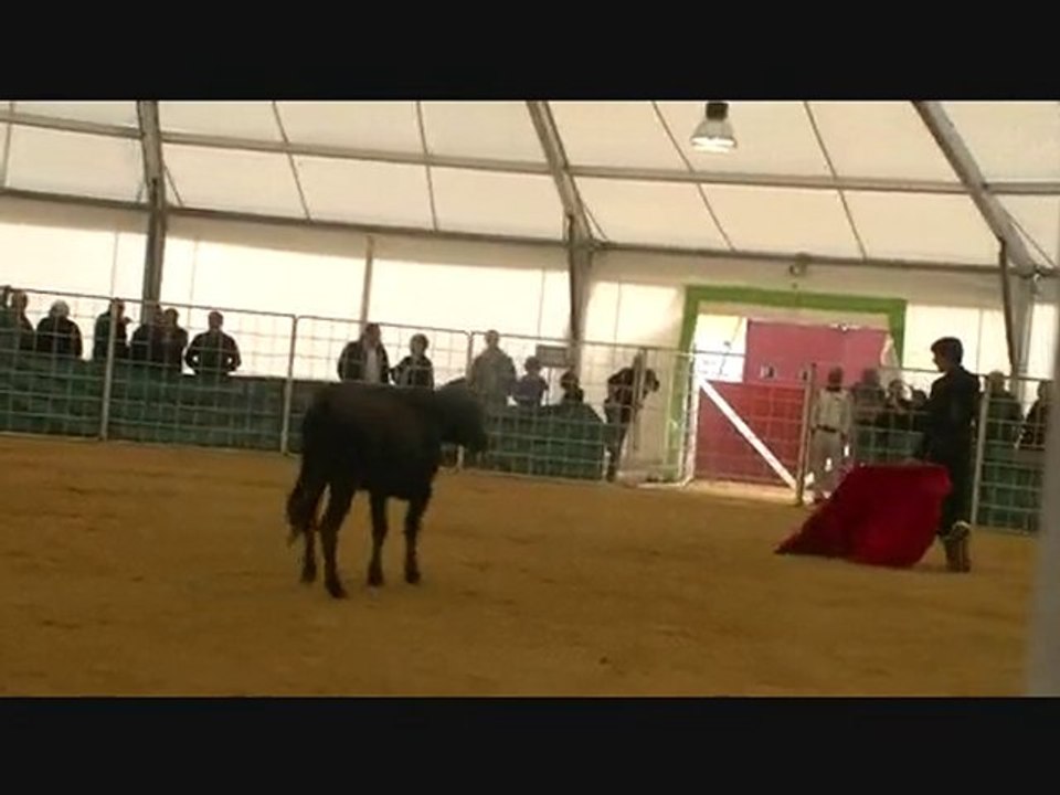 23.10.10 Hagetmau  Vache 2 avec Alex Bachelet et Clementito