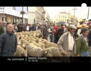 Procession in Madrid's street against... - no comment