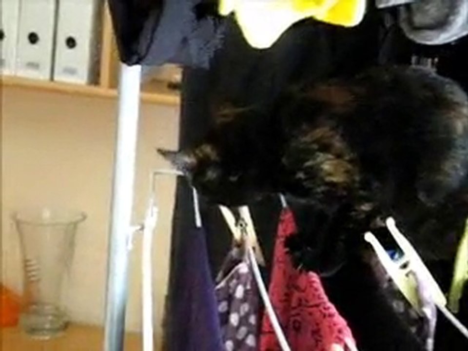 Gaïa aime étendre le linge, le linge aime moins...