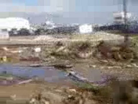 train sncft entre a la gare de tunis