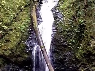 Murhut Falls in the Olympic National Forest