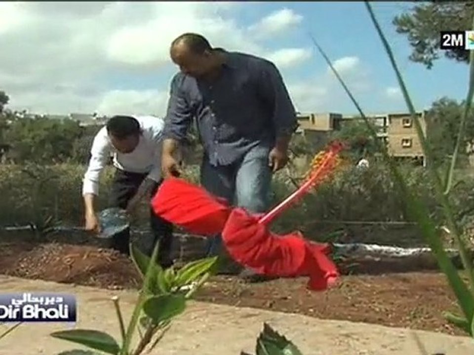 دير بحالي : الاثنين 1 نونبر